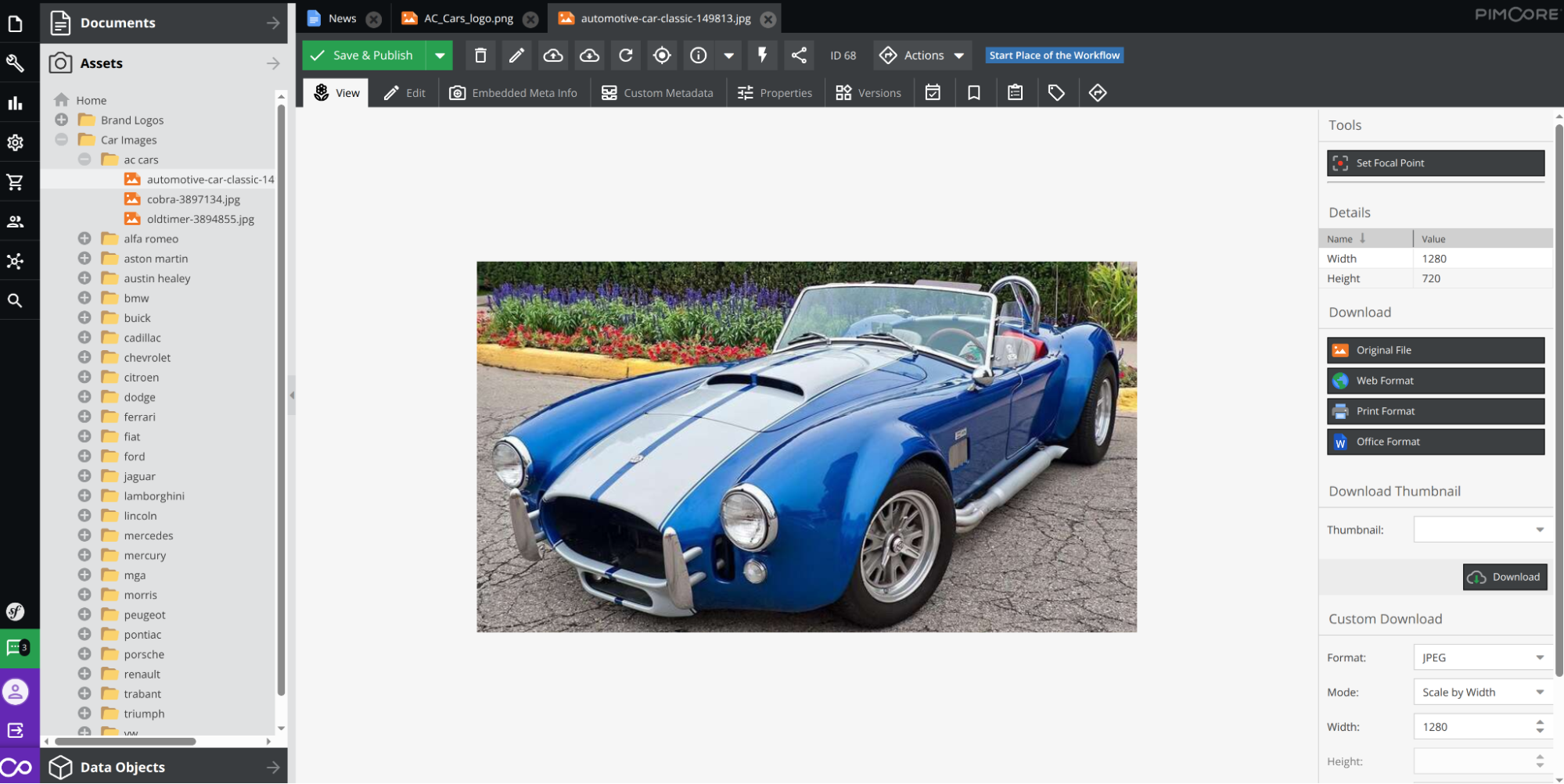 Pimcore asset management screenshot